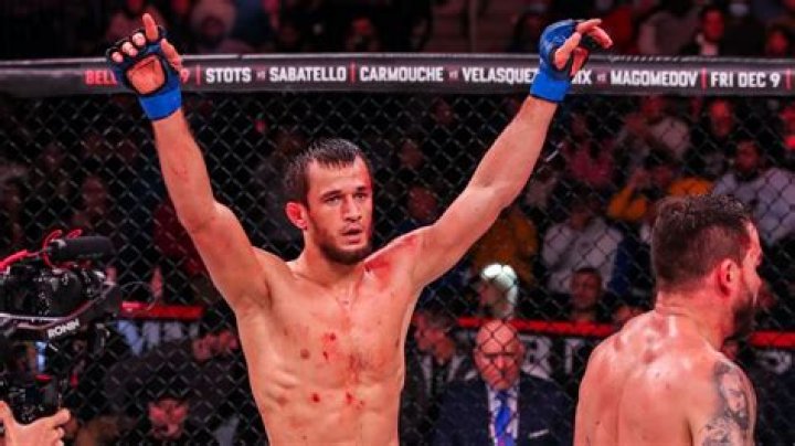 Bellator MMA Net Worth & Earnings (2024)