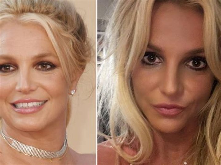 Britney Spears Flaunts Flat Abs in Bikini Post — Celebwell