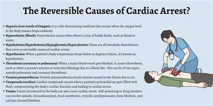 GoFundMe: Christine Mcdonough Dies From Cardiac Arrest
