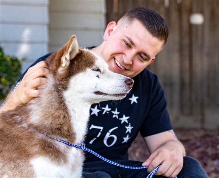 How many dogs survived Eight Below? – Celebrity