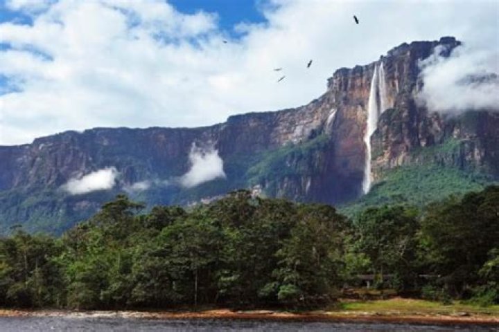 Is Paradise Falls open now? – Celebrity