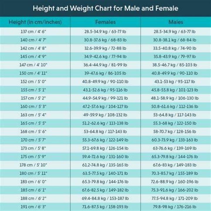 Mabel Chee Body Measurements Height Weight Age Vital Statistics