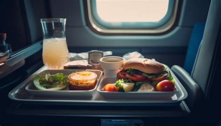 Olivia Culpo in Two-Piece Workout Gear Eats Fast Food on a Plane