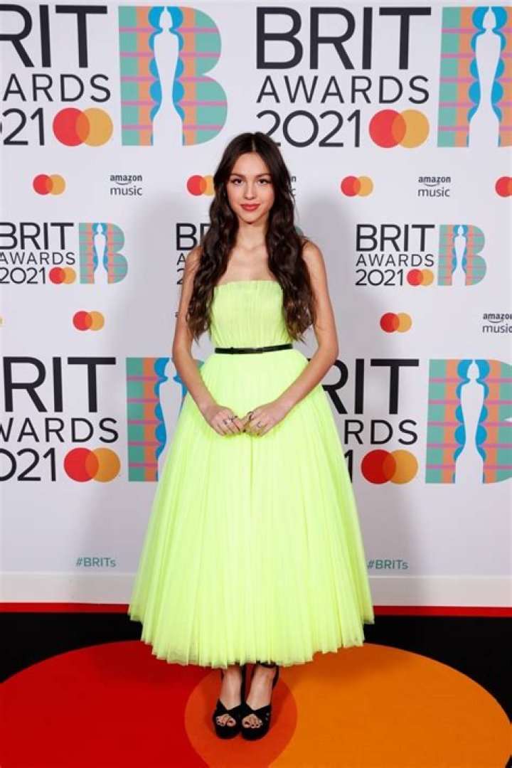 Olivia Rodrigo is All Wet Wearing Dress in Pool — Celebwell
