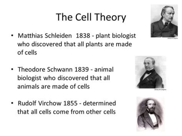 Rudolf Virchow Biography - Facts, Childhood, Family Life & Achievements
