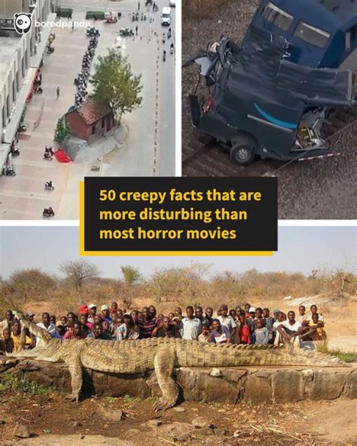 Scary Interesting video statistics
