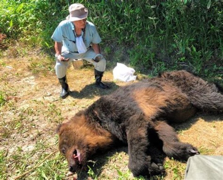 Steven Jackson killed in ‘highly unusual’ bear attack; bear shot dead by neighbor