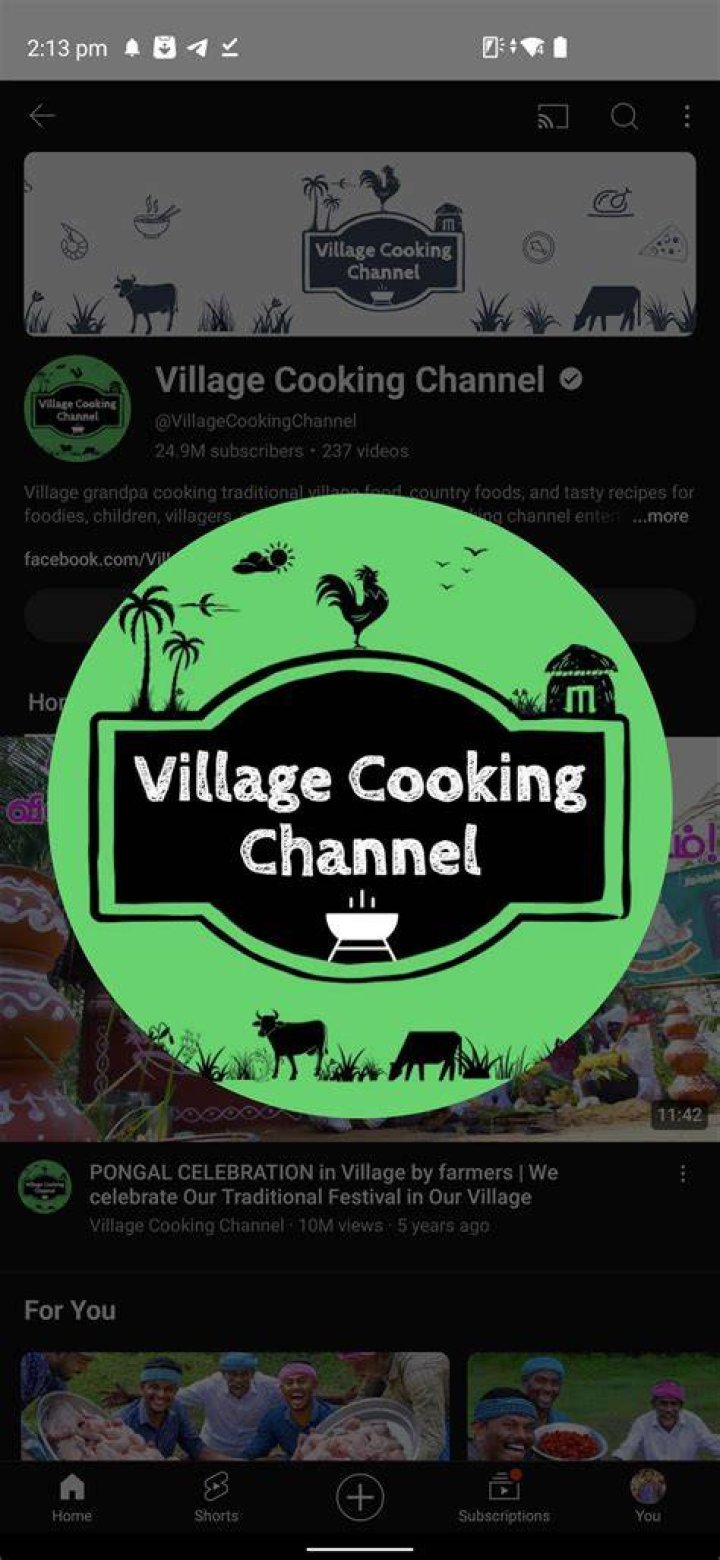 Village Cooking Channel Net Worth & Earnings (2024)