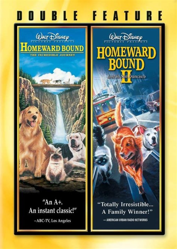 Who voiced Delilah Homeward Bound 2? – Celebrity
