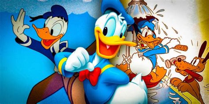 Why is Donald Duck so angry? – Celebrity